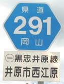 r291