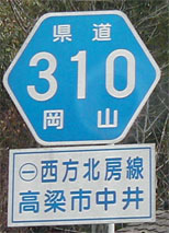 r310