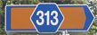 r313