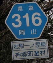 r316