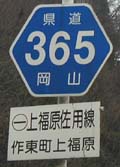 r365