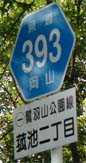 r393