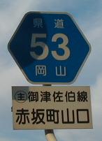 r53