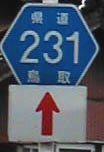 231