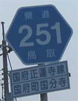251