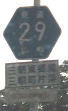 29