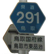 291
