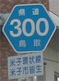300
