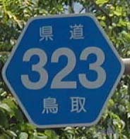 323