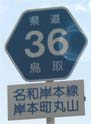 36