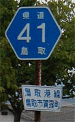 41