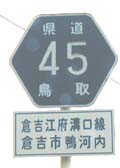 45